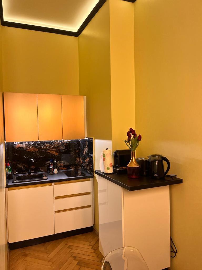 Urban Central Apartments Braşov Esterno foto